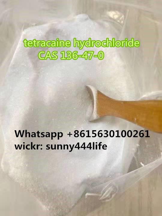 Tetracaine Hydrochloride CAS 136 47 0
