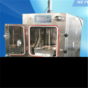 Vacuum dryer 