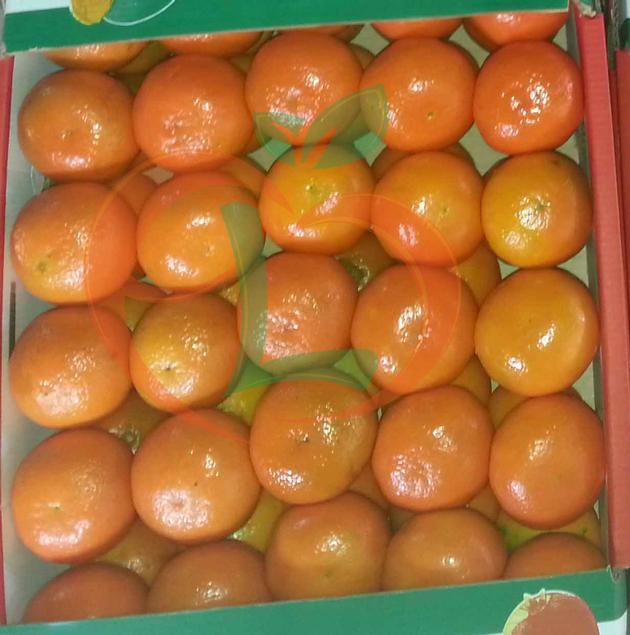 mandarin fremont