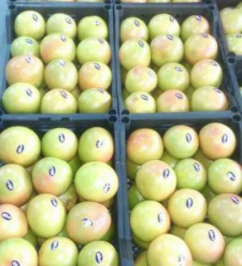 Grapefruit