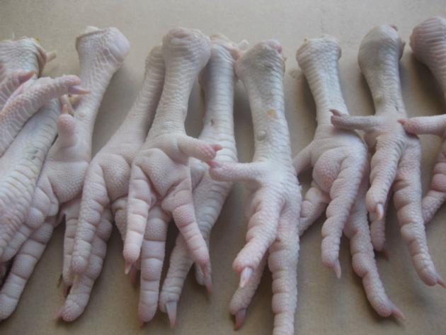 Frozen Chicken Feets grade A