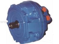 Piston hydraulic motor