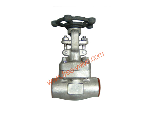 SW Ends Forged Steel Globe Valve