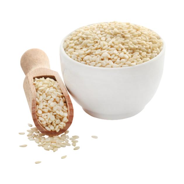 Sesame Seed