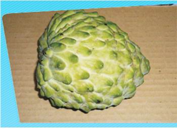 Wax apple and Sugar apple