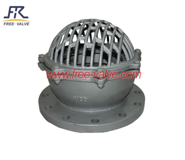 Stainless Steel Water Pump Pn10 Foot