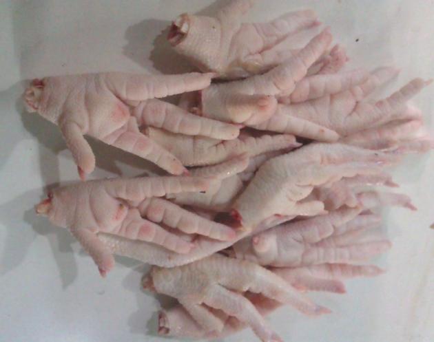 Frozen Chicken Paws grade A