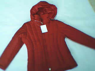 a hooded down jacket