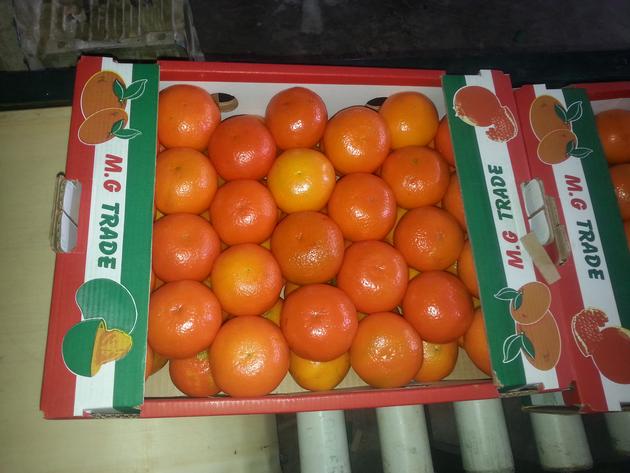 Mandarin Fremont