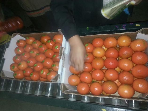 Mandarin Fremont