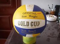 Gold Cup Volleyball-Original