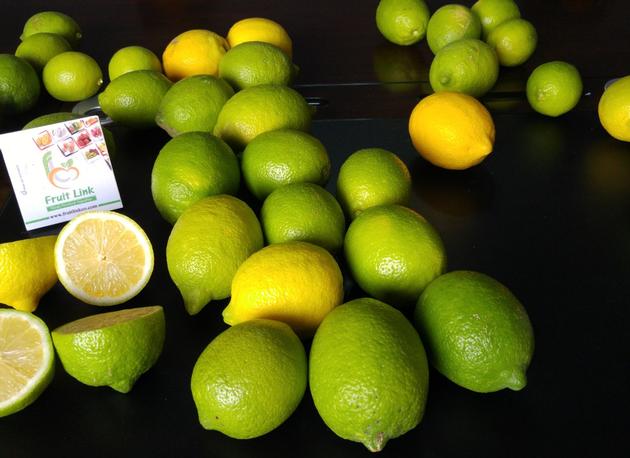Adalia lemon