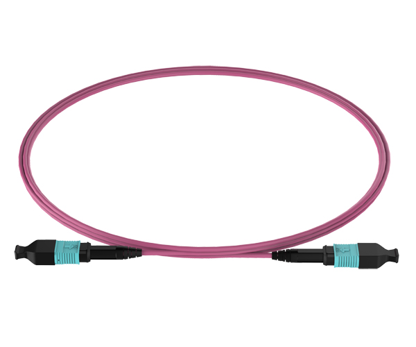 MPO-MPO 12F OM3 Cable