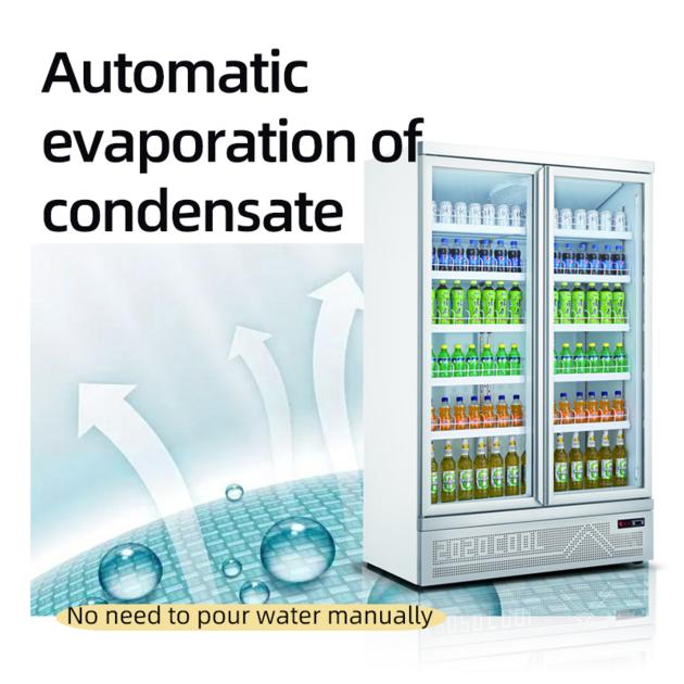 Commercial Beverage Chiller