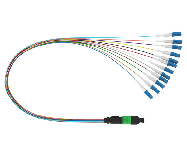 MPO-LC 12F Fanout Patch Cord