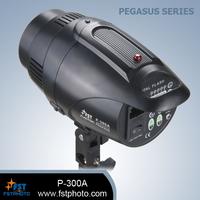 photography lighting-Pegasus Series Digital Flash light