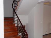 supply luxurious staircase fence and stainless steel 3