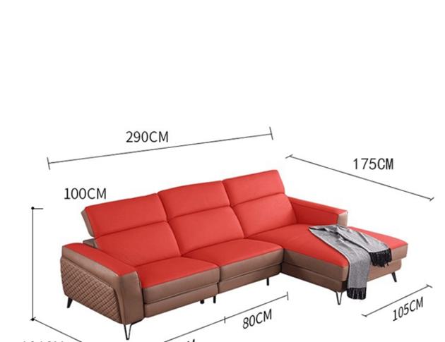 Italian Leather Sofa Space Capsule Electric