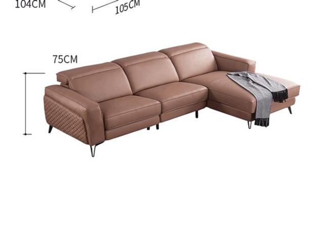 Italian Leather Sofa Space Capsule Electric