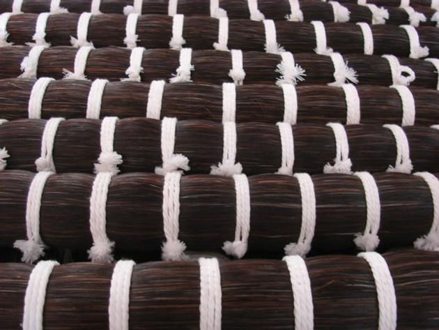 Horse Tail Hair