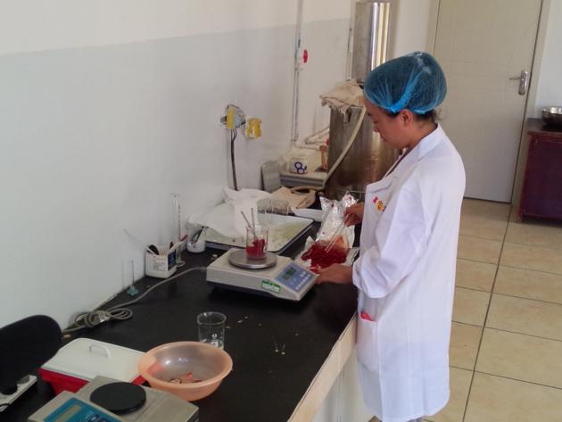 Tomato Paste
