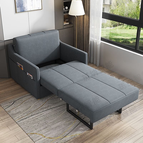 Sofa Bed Foldable Dual Purpose Living