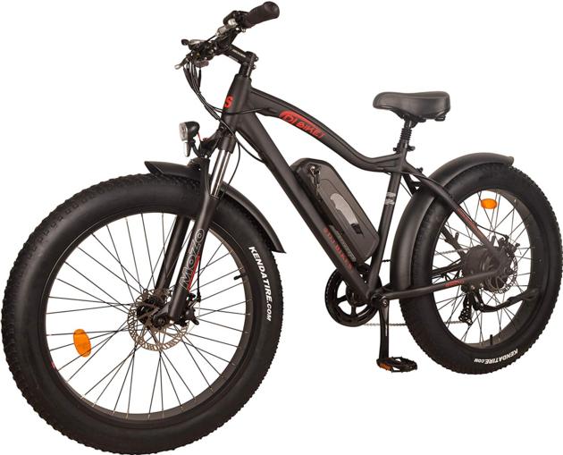 DJ Fat Bike 750W 48V 13Ah Power Electric Bicycle