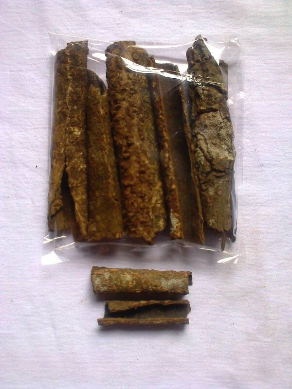 LITSEA CUBEBA