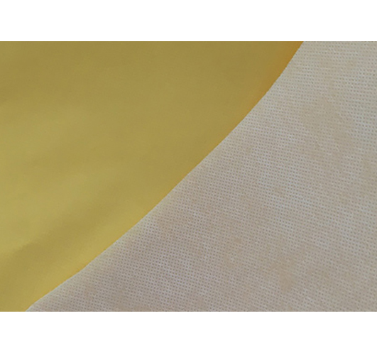 PE Laminated Non-Woven Fabric