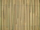 tonkin bamboo,bamboo cane,bamboo stick,bamboo fence,bamboo pole,bamboo stakes,tonkin cane,fern fence,heather brushwood fence,flower stick,willow fence,bark fence,grass fence,rice straw fence,bamboo split fence,Plastic coated canes,reed fence,bamboo trelli