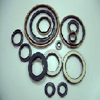 oil seal