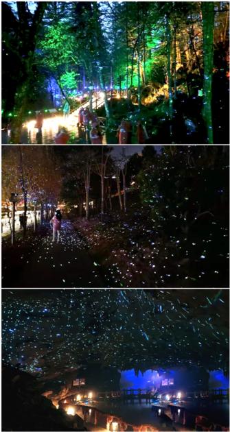 Outdoor Park Starry Sky Laser Light