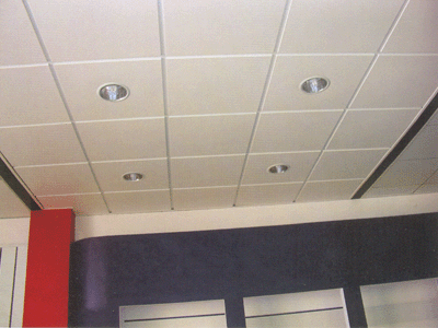 Waterproof Durable Anti Denting Celing Tile