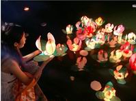 Water Lanterns ,Water Lily ,Lotus Lanterns,Lotus Lamp
