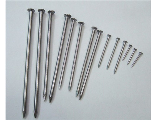 Common Round Nail