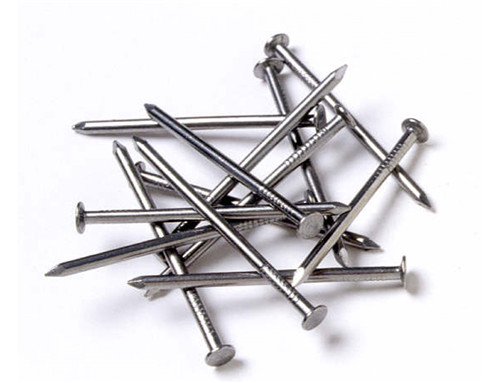 Common Round Nail