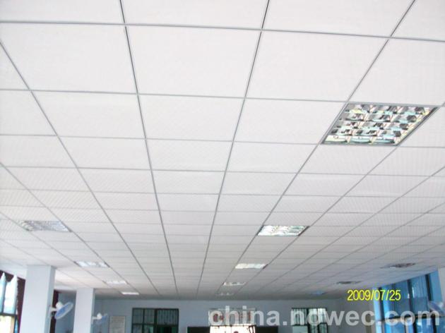 Waterproof Durable Anti Denting Celing Tile