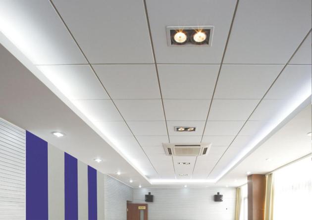 Waterproof Durable Anti Denting Celing Tile