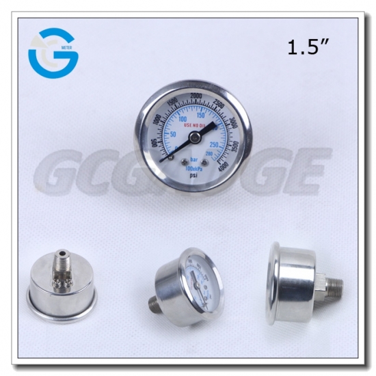  1.5 Inch Diameter 10mpa And Above All Stainless Steel Dry Pressure Gauge