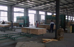 china plywood