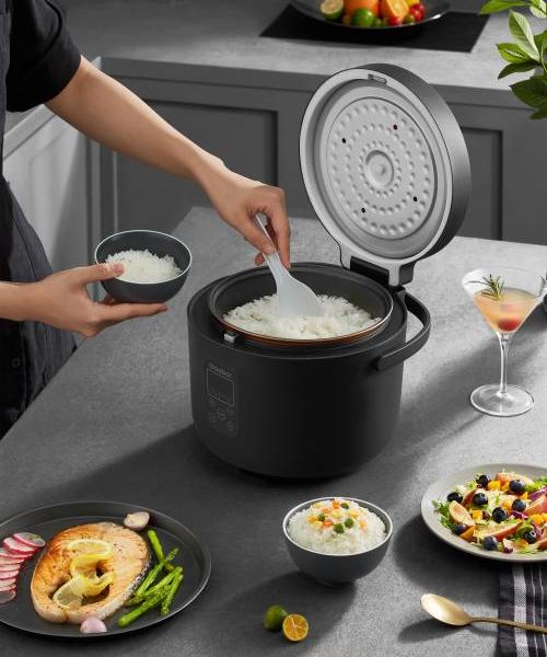 Gaabor Rice-cooker