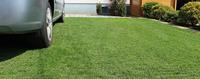 Lawn protection mesh - easy installation and cost-effective