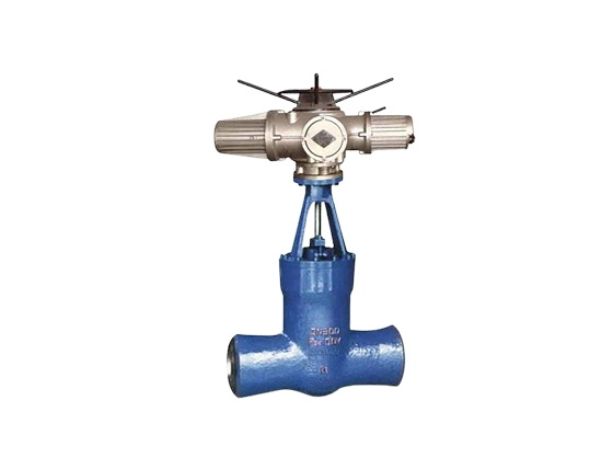 Class 2500 Industrial Valve