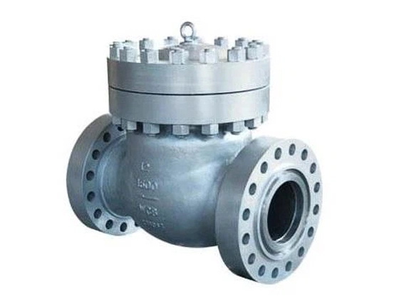 Check Valve 10 Inch