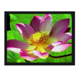 led panels