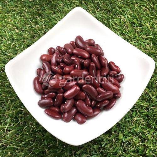 Organic Red Kidney