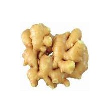 Ginger Extract