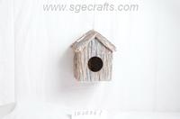 Bird Nest