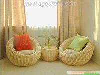 Willow Safa