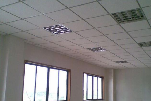 Firerated And Moixture Proof Ceiling Tile